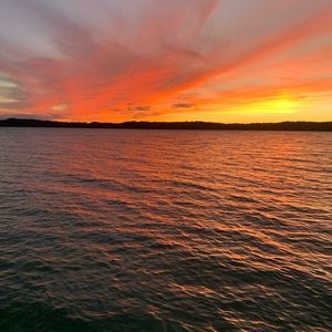 Meet your Posher, Ava